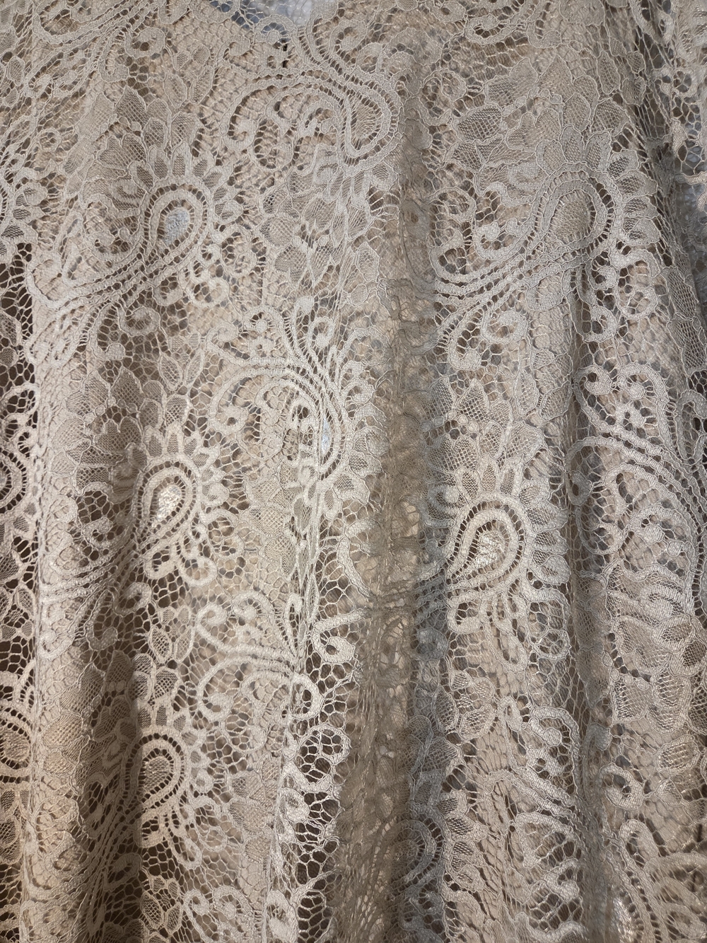 Maya Brooke Beige Lace Overlay Dress - Picture 6 of 12